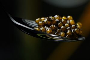 Comment préparer un tarama au caviar recette facile et gourmande